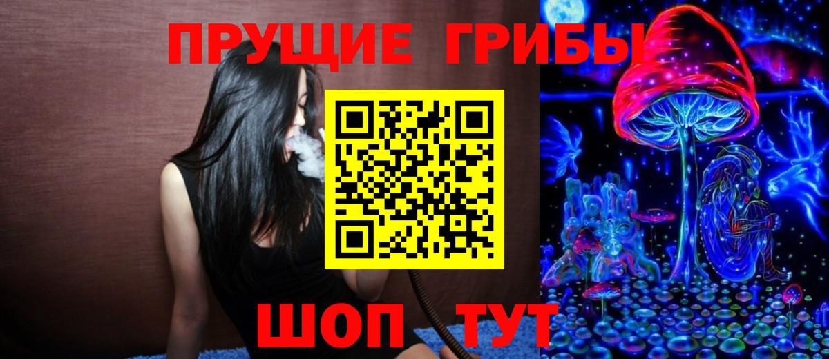 Галлюциногенные грибы мицелий  Вход с VPN  Волгодонск  где купить наркотик  Галлюциногенные грибы ЛСД 